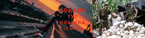 первитин Михайлов