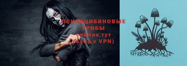 мдпв Михайловск