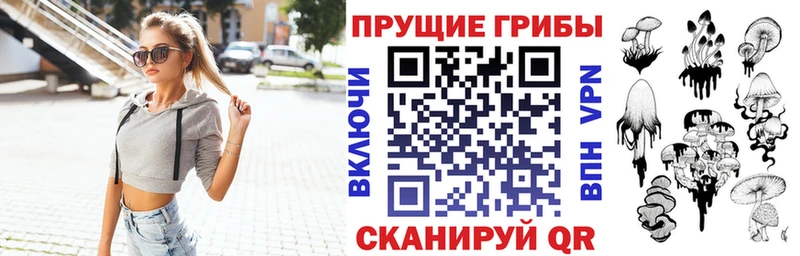 Галлюциногенные грибы Psilocybe  Ермолино 